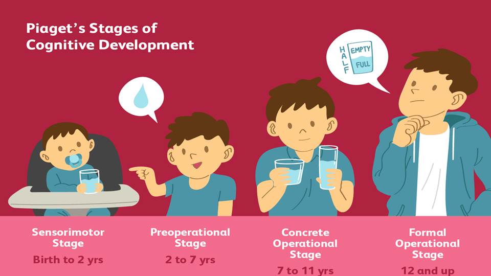 Piaget's Stages of Cognitive Development