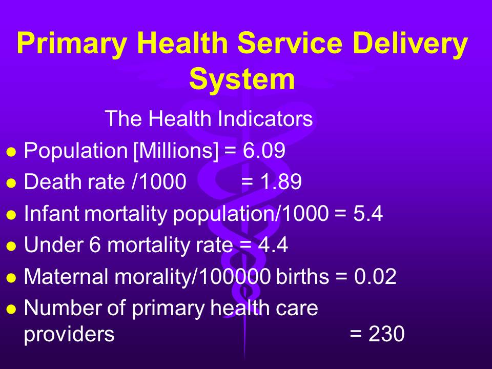 Primary Health Service Delivery System