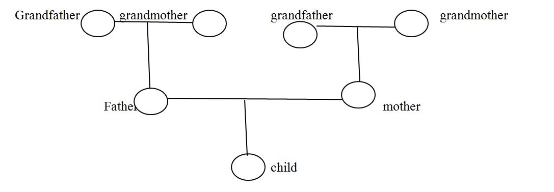 A genogram of the family