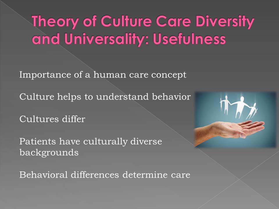 Theory of Culture Care Diversity and Universality: Usefulness