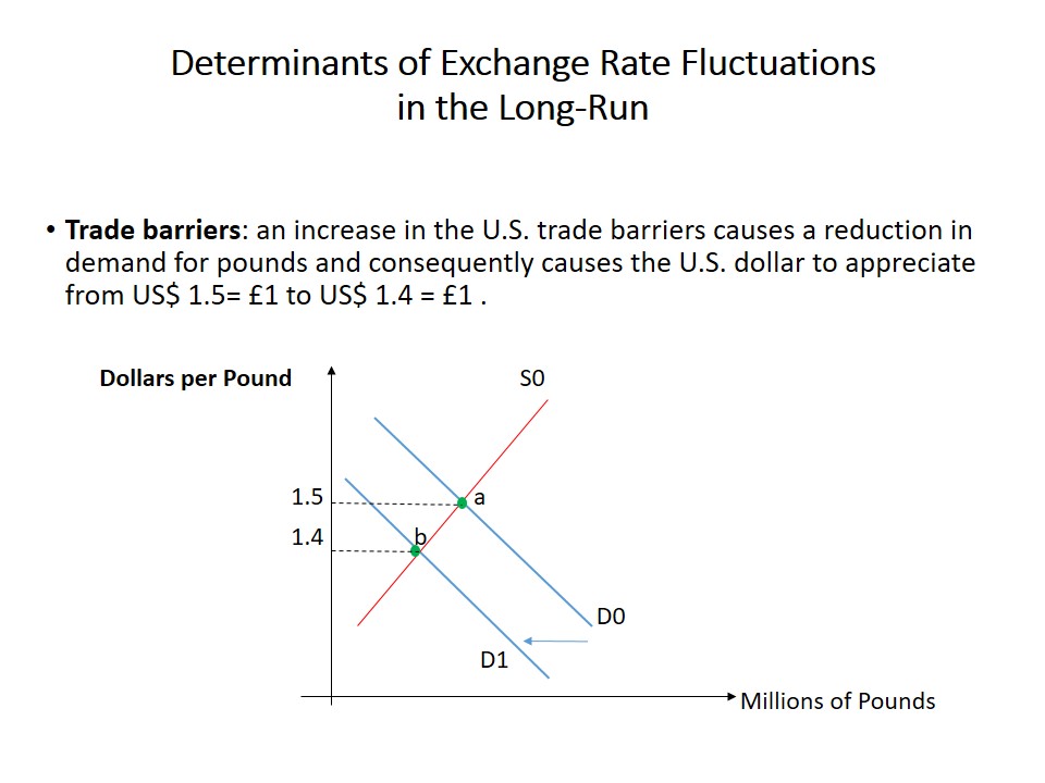 Determinants of Exchange Rate Fluctuations in the Long-Run