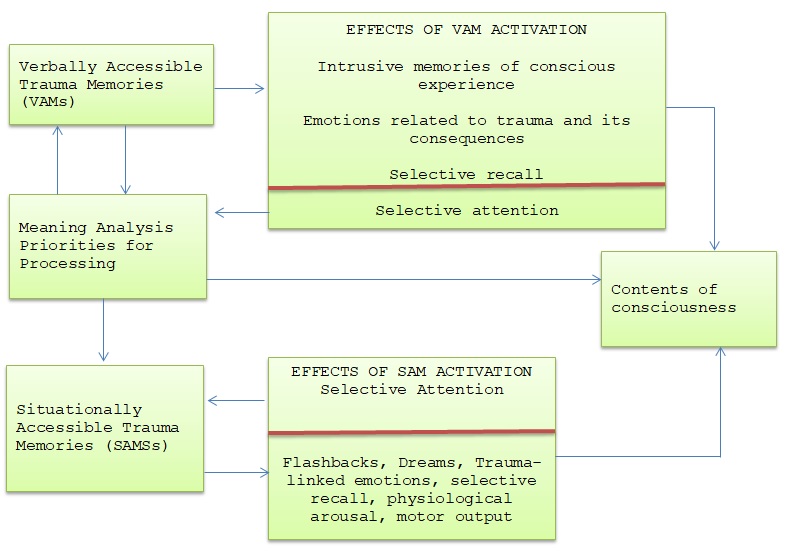 Representation theory, processes of SAMs and VAMs