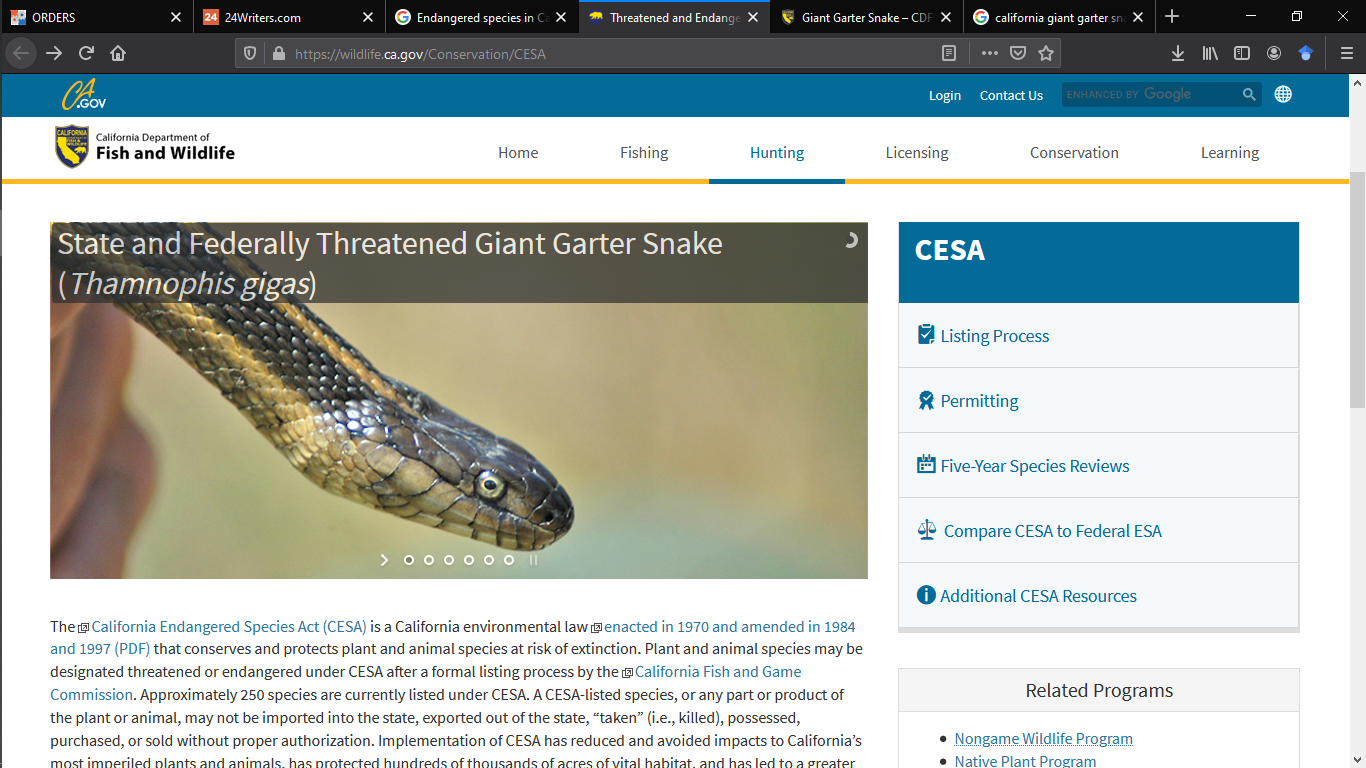 State and Federally Threatened Glant Garter Snake