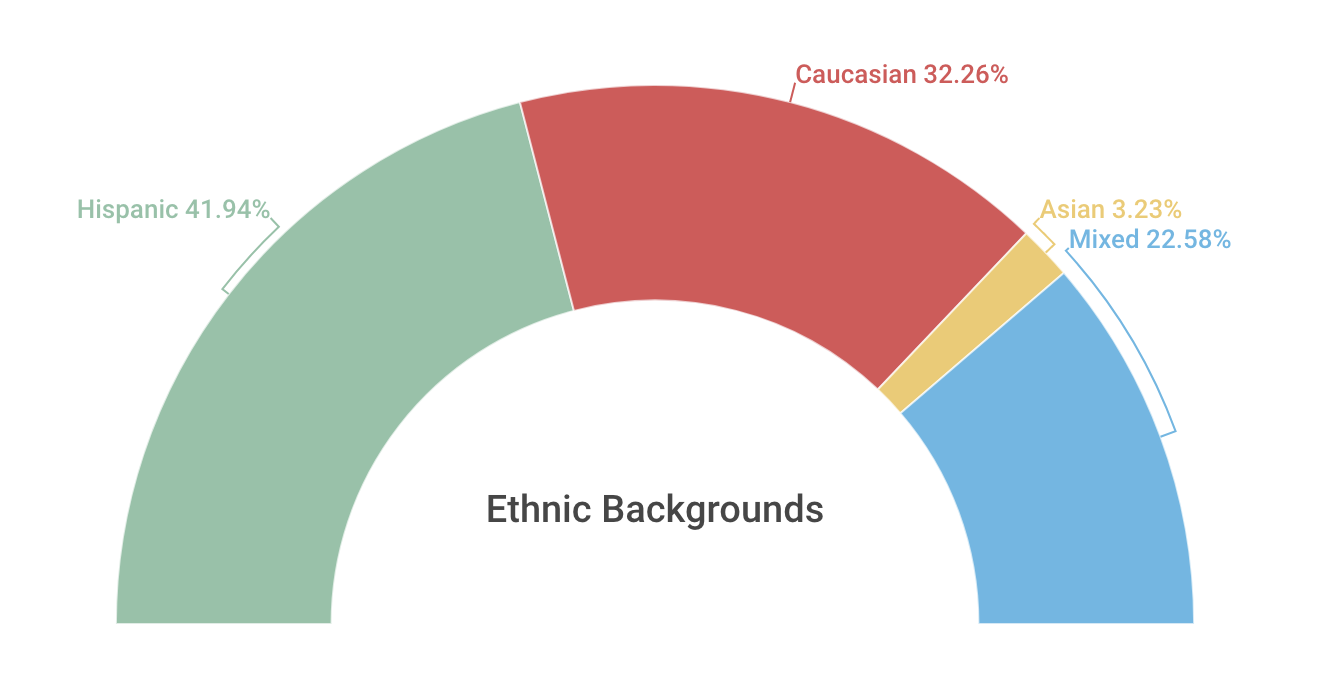 Ethnic Backgrounds
