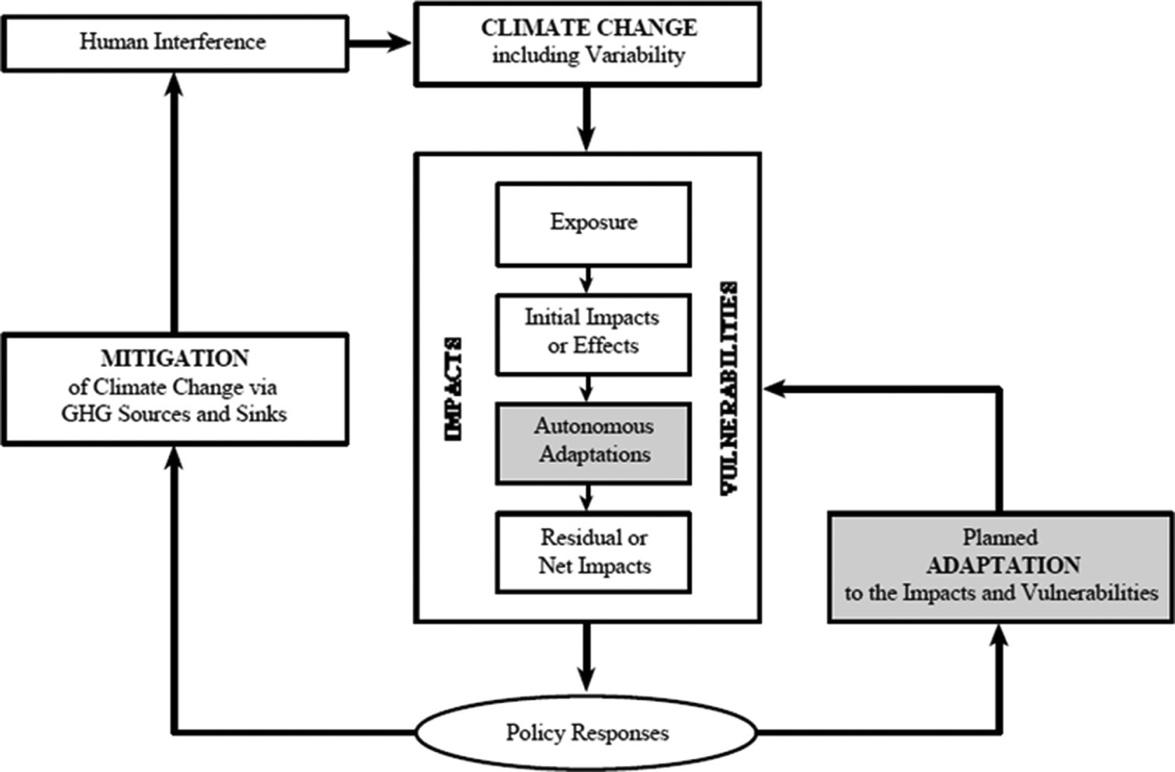 Schematic diagram of adaptation in the climate change issues