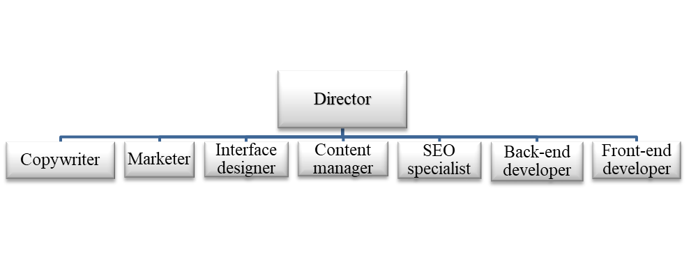 The project management structure