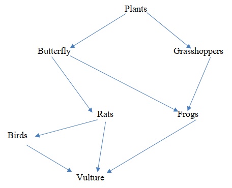 Food Web of Biotic Components