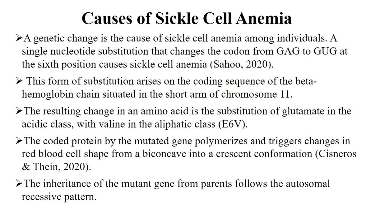Causes of Sickle Cell Anemia