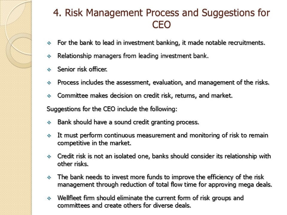 Risk Management Process and Suggestions for CEO