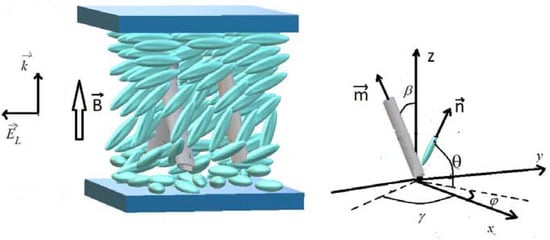 Demonstration of Fréedericksz transition in a nematic liquid crystal