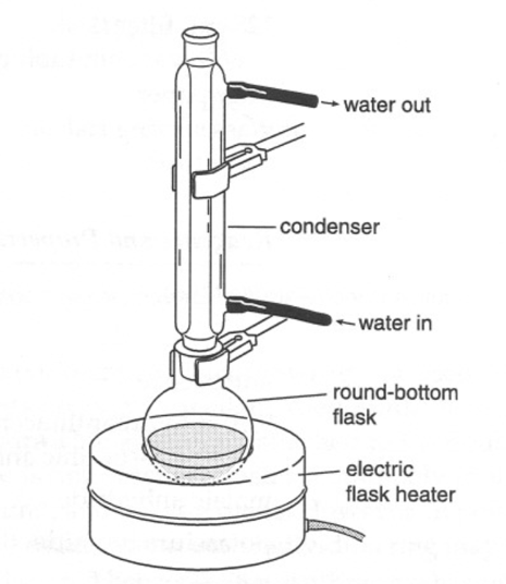 Schematic representation of the apparatus used in the present experiment.