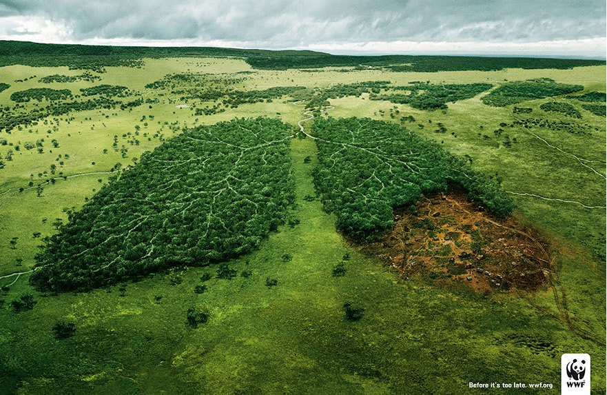 WWF. “Before It’s Too Late”.