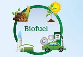 The cycle of biofuels