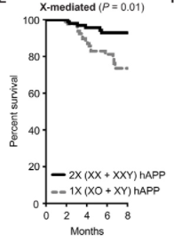 Effect of X Chromosome on Survival.