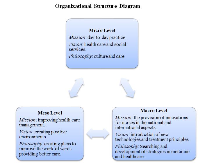 Organizational Structure Diagram