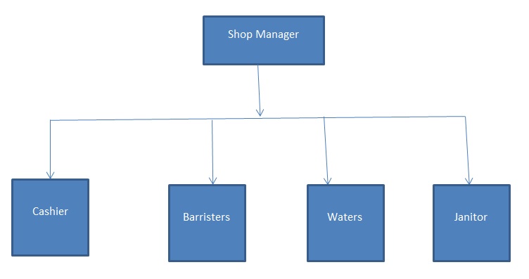 Management and Organization Plan