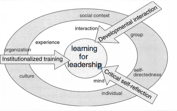 Critical constructivist approach to learned leadership 
