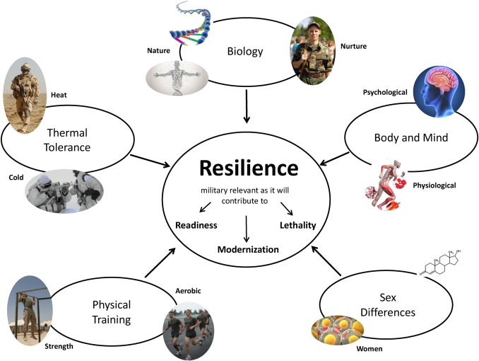 Five key domains of resiliency resilience can be promoted through a variety of domains to enhance the readiness, lethality, and modernization of armed forces