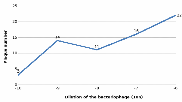 Dilution of the bacteriophage and plaque number