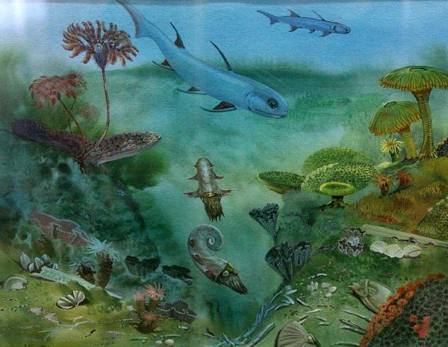 Image of the ocean landscape during Devonian Era