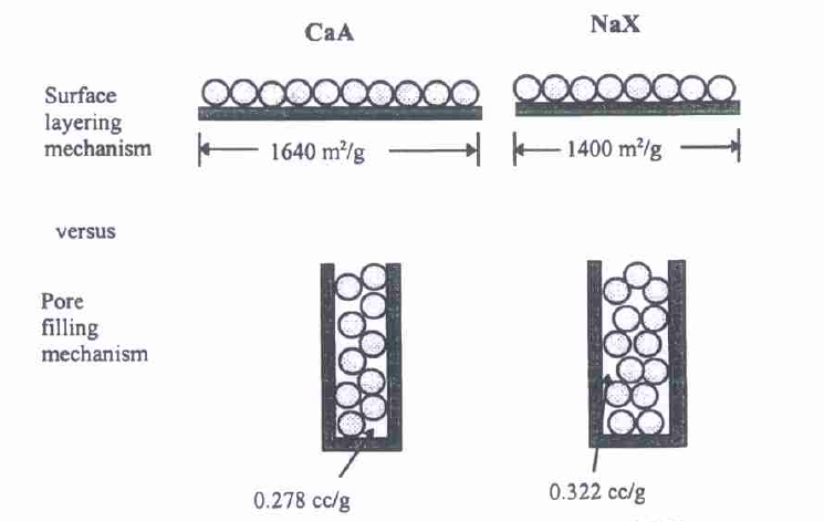 Potential adsorption mechanisms in NaX and CaA