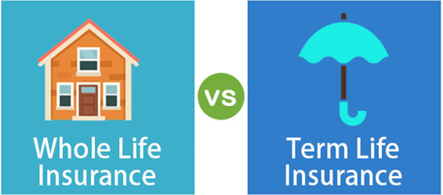 Whole-life insurance, and term life insurance.