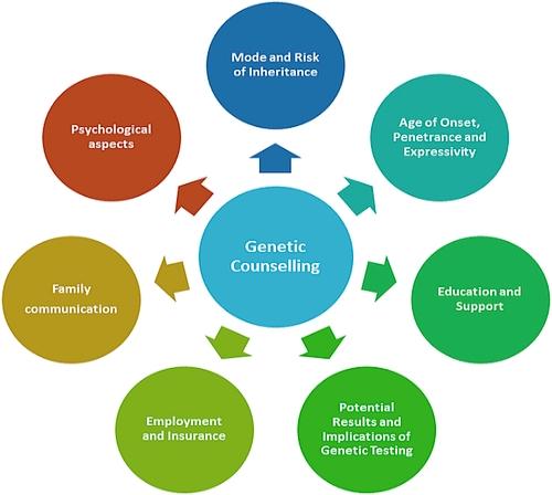 Steps Involved in Genetic Counseling
