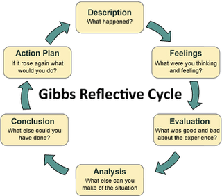 Gibb’s Reflective Tool