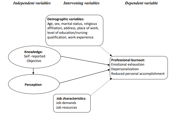 Conceptual framework showing the relationship