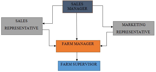 Supplementary organizational structure