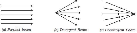 Classification of Light Beams Depending on the Trajectory of the Ray Vectors