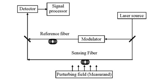 A scheme of the sensor