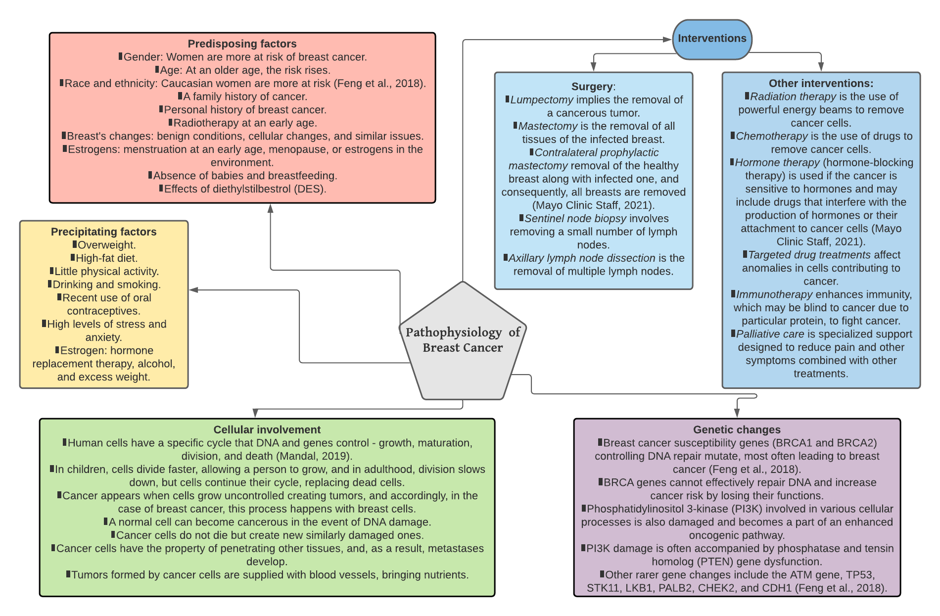 Pathophysiology of breast cancer: concept map. The map is made by the author with the help of the Lucidhart instrument