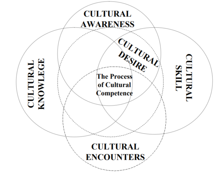 Conceptual Framework of the Model of Cultural Competence in the Delivery of Healthcare Services