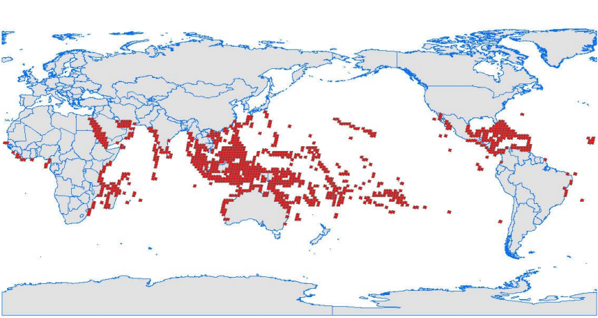 Coral reefs coverage
