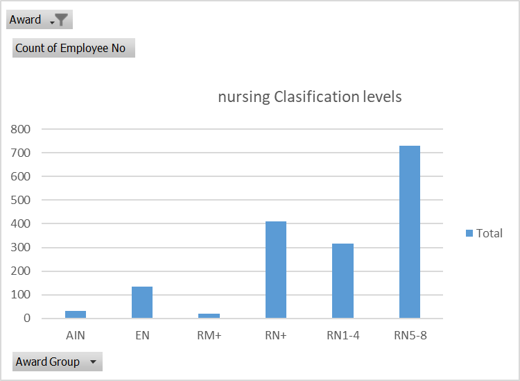 Nursing classification levels