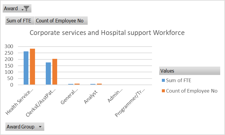 Corporate services and hospital support workforce