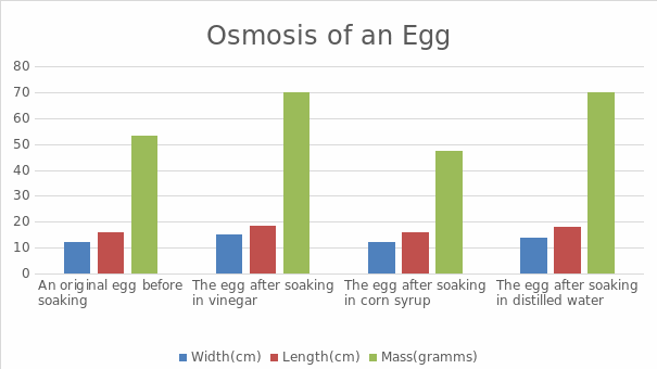Osmosis of an Egg