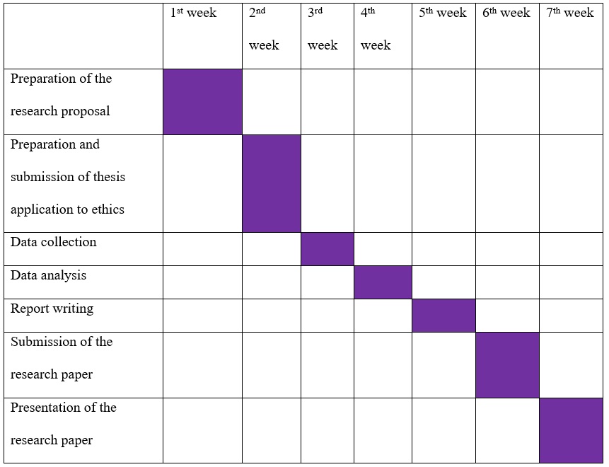 Gantt chart schedule