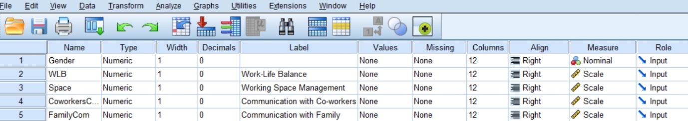 Variable view in SPSS