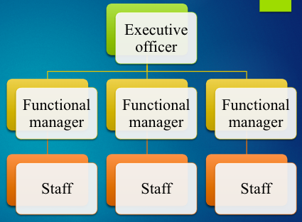 Functional project organizational structure