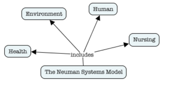 Basic Elements of the Structure of the Neuman Model
