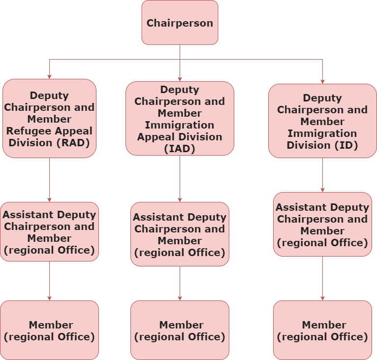 Organizational structure of IRB