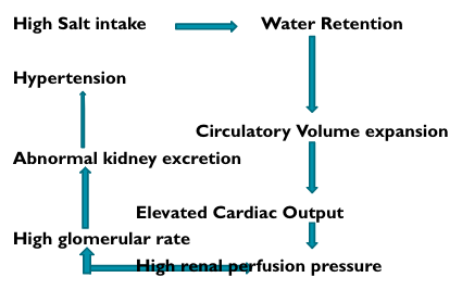 Etiology of Hypertension