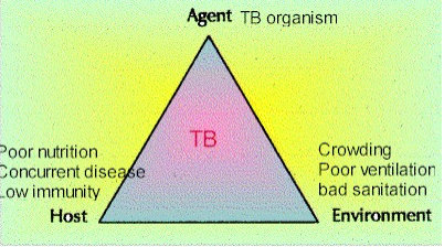 Tuberculosis (TB) epidemiologic triangle