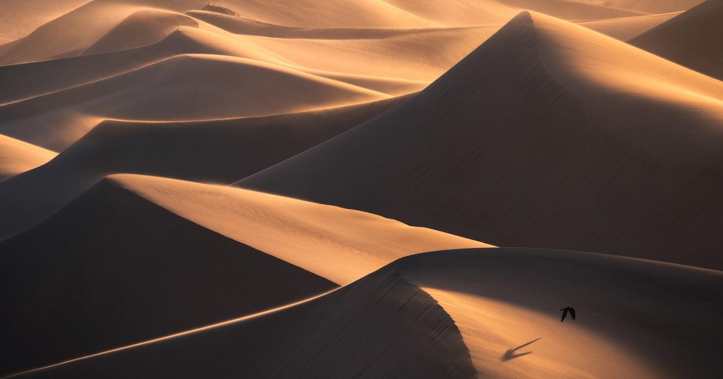 The Photo of Dunes by Shainblum
