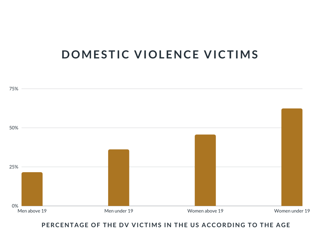 Domestic Violence in the US