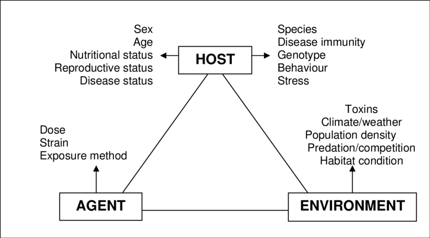 Classical triad representing the interrelationship between host, agent and environment