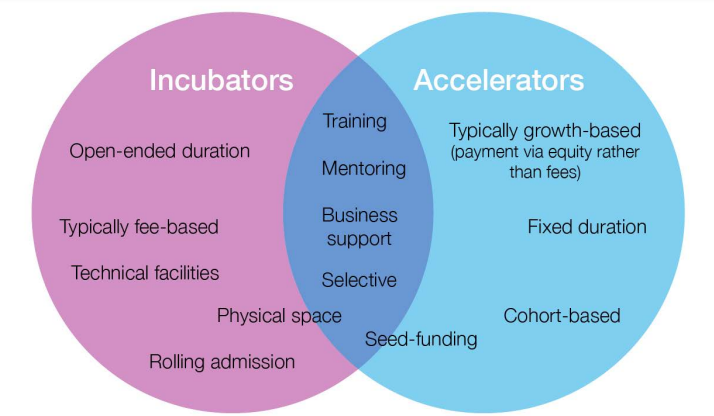 Incubators and Accelerators Analysis