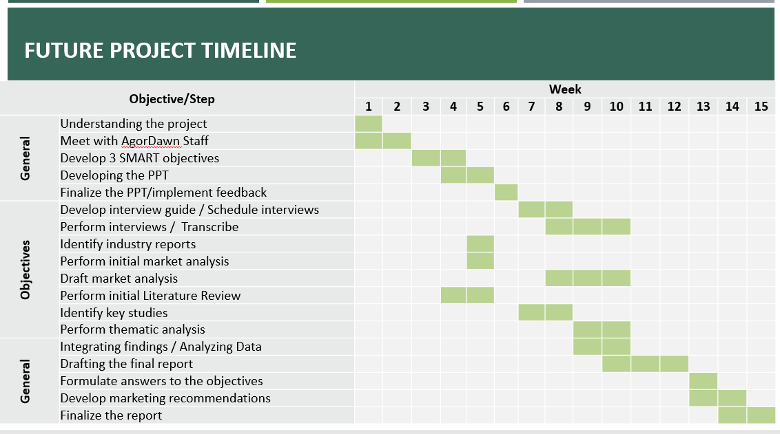 Project Steps and Timeline